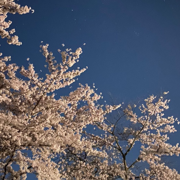 Meet your Posher, Jackie - Picture 1 of 1